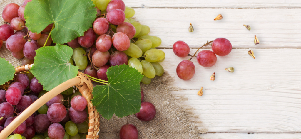 Semente de uva: Quais são seus benefícios para a pele?