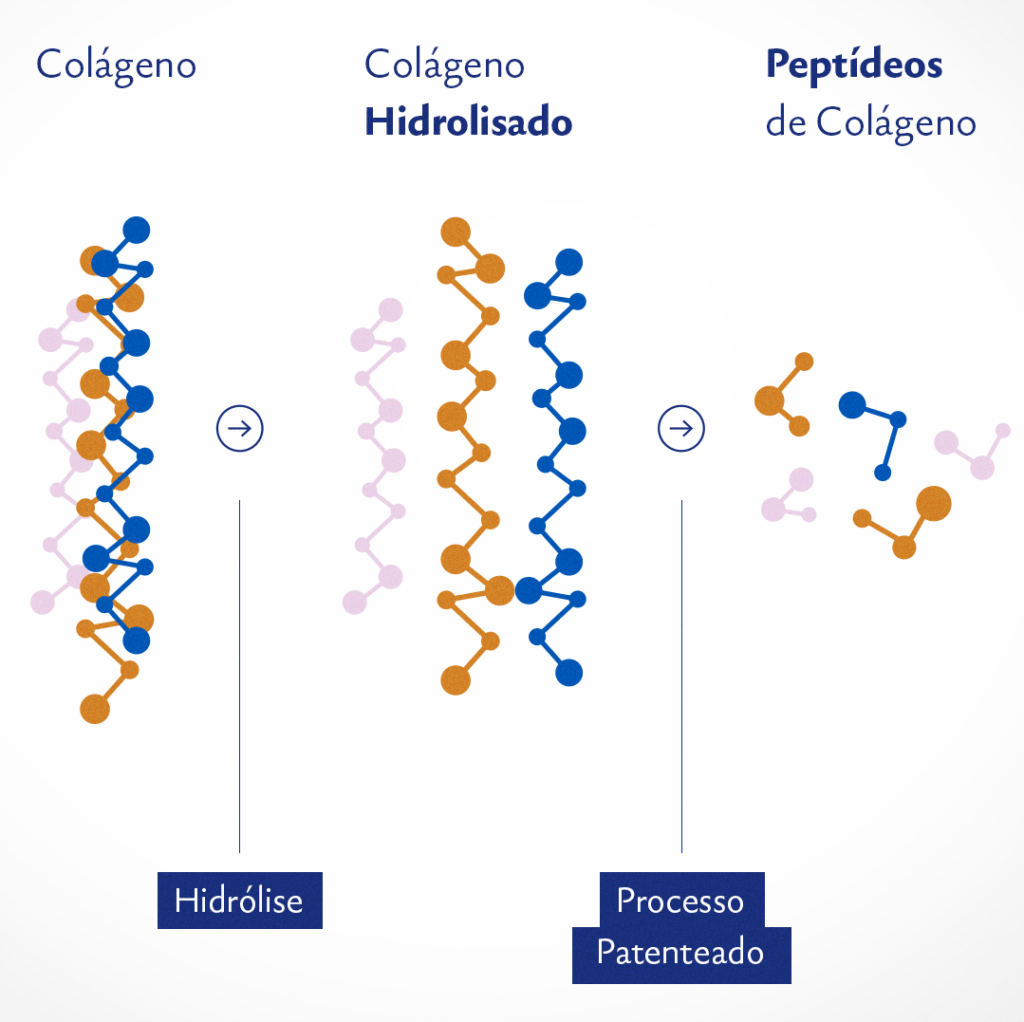 Diferença entre colágeno, colágeno hidrolisado e peptídeos de colágeno